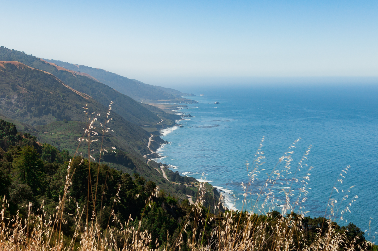 Overall, a very enjoyable hike. I would definitely do it if you choose to go backpacking in Big Sur or anywhere along the California central coast - we're definitely going to do it again in the future with more people. 