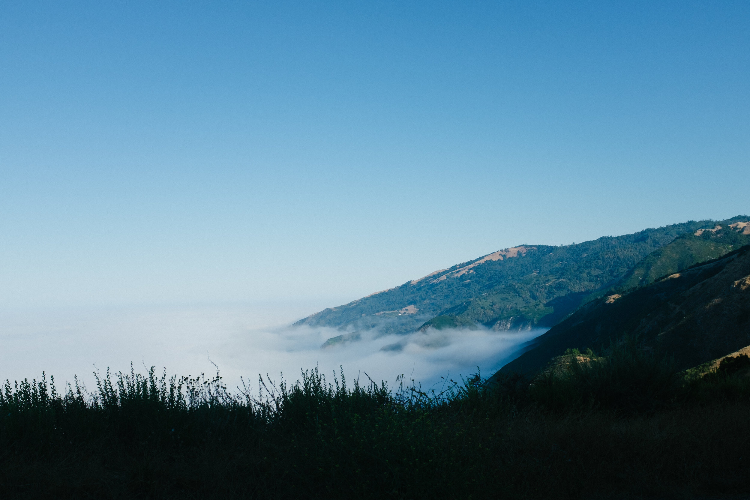 A quick snap from the window while driving Nacimiento-Fergusson Road. As you may/may not know - Highway 1 is still closed from the mudslides/bridge collapse, making this road the ONLY access to this portion of Big Sur. I've been on this road before, but for those who haven't, it's accessible via 101 to Jolon Rd ( https://goo.gl/VXG9eK ). More Info for those curious: -You have to pass through a U . S. Army base to get onto it (thru traffic is open to the public), and once you're driving it, it's pretty windy with lots of blind corners, hairpin turns, and sheer drops. Drive slow and be careful, there was recently a head on collision here and it's way more traffic'd now that Highway 1 is closed. -Do note that they sometimes use this road for service vehicle traffic, in which case you'll be stuck waiting until their vehicles get through (I've read this happens on Thurs. and Tues. in the late mornings to afternoons, but I'm not sure if the schedule is consistent). -There are also two walk-in, no reservation car campsites along this road (I've camped at Nacimiento Camp before) that were pretty empty.
