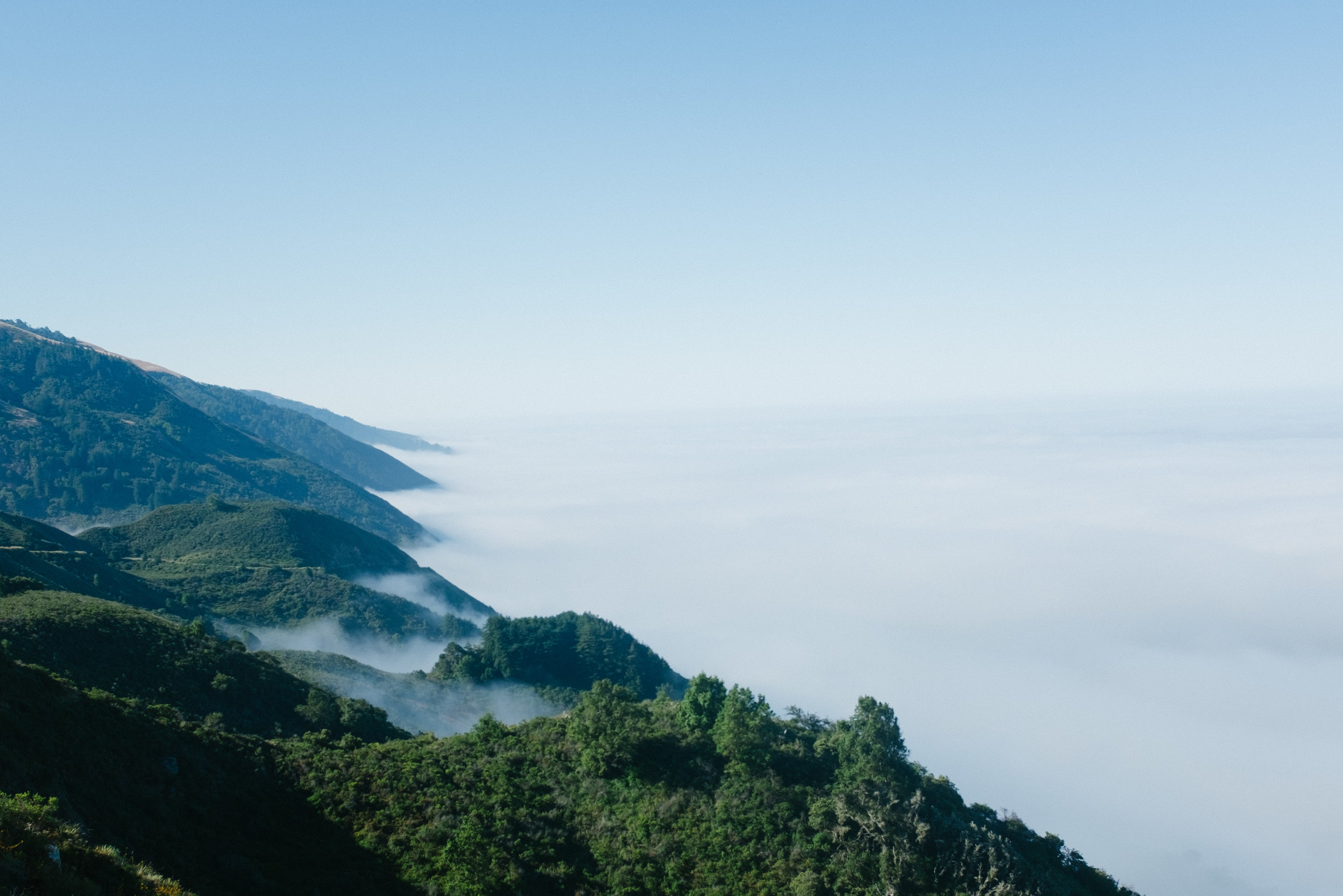 Overlooking the coast/marine layer. The fog lasted the first mile or so which was great - it's my favorite type of weather to hike in.