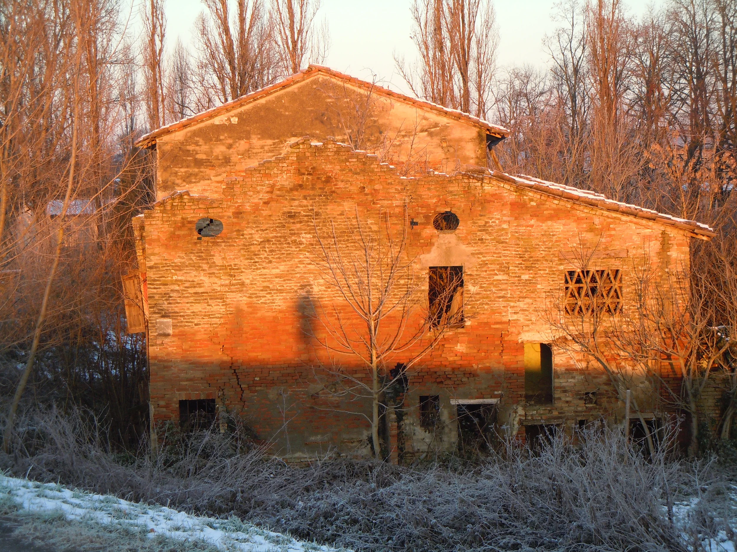 Self portrait: New Year's Day in Roccabianca