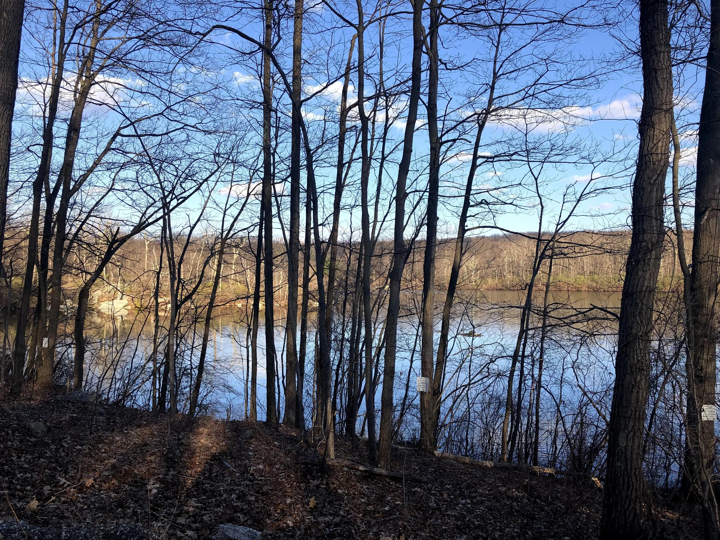   FAHNESTOCK PARK ON A QUARANTINE WALK  