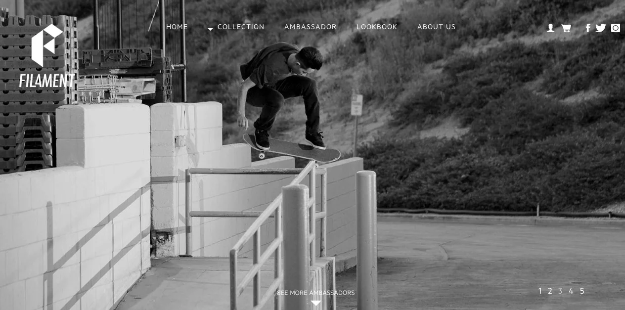 Alec Jamir_Filament BS 180_2014.jpg