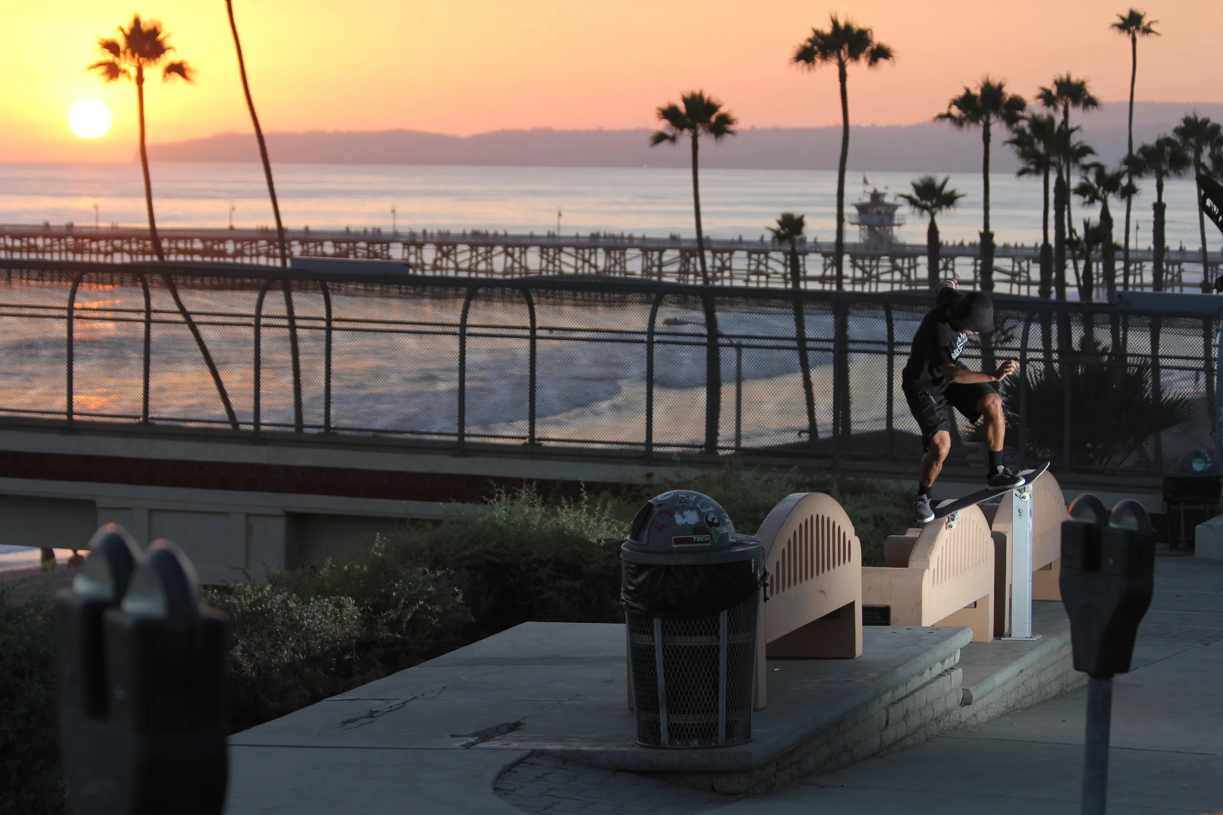 ALEC JAMIR - FS BLUNT