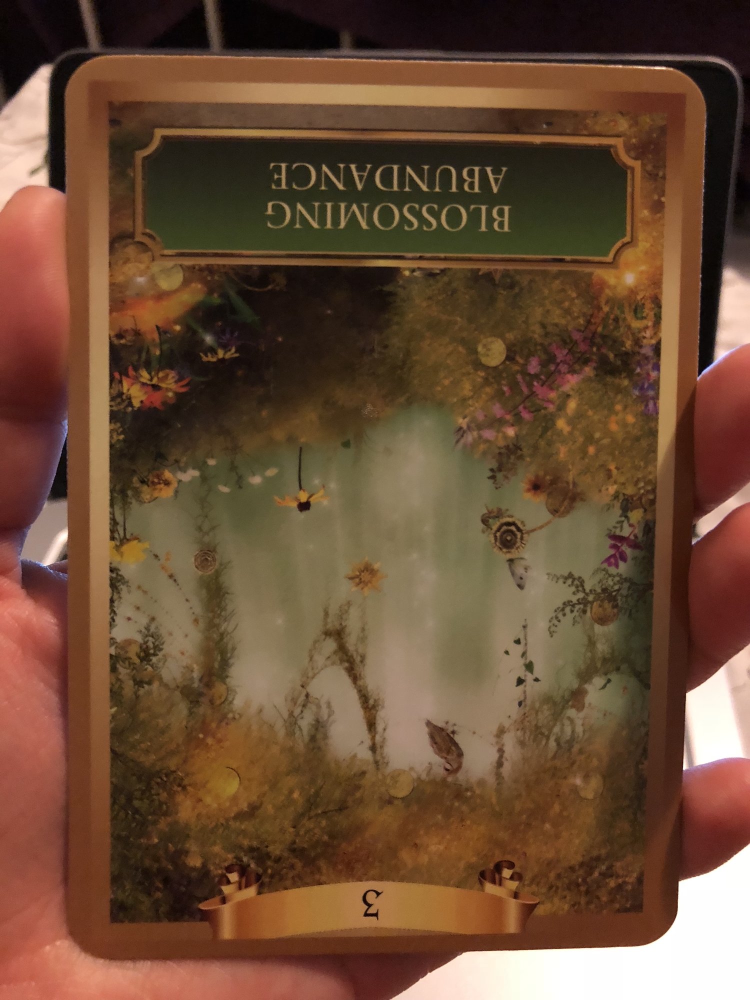 Energy Oracle Cards Blossoming Abundance