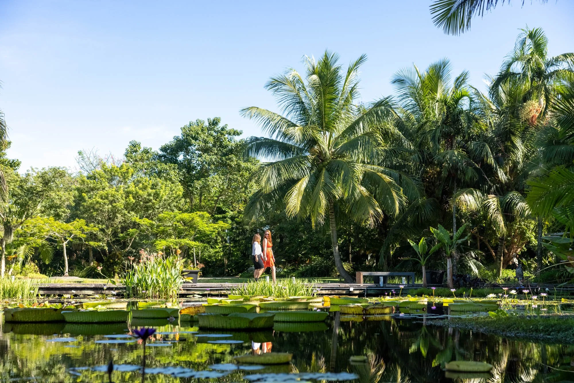 CCT-Naples-Bontanical-Gardens-280.jpg