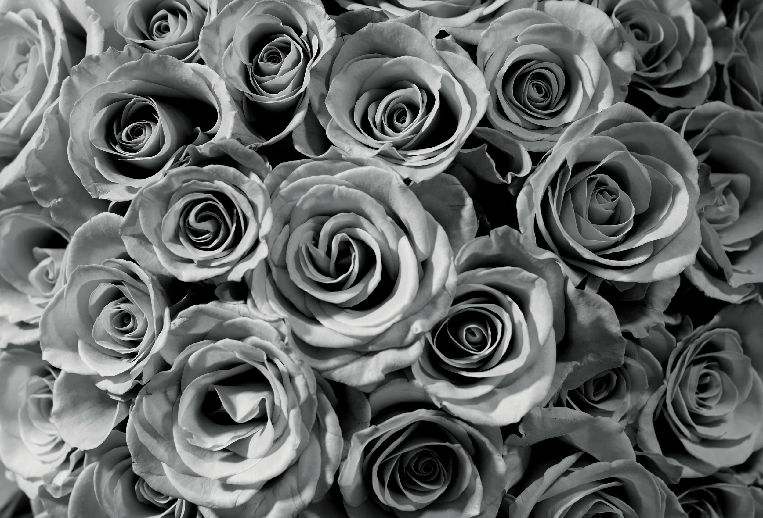 KANYE(Roses).jpg