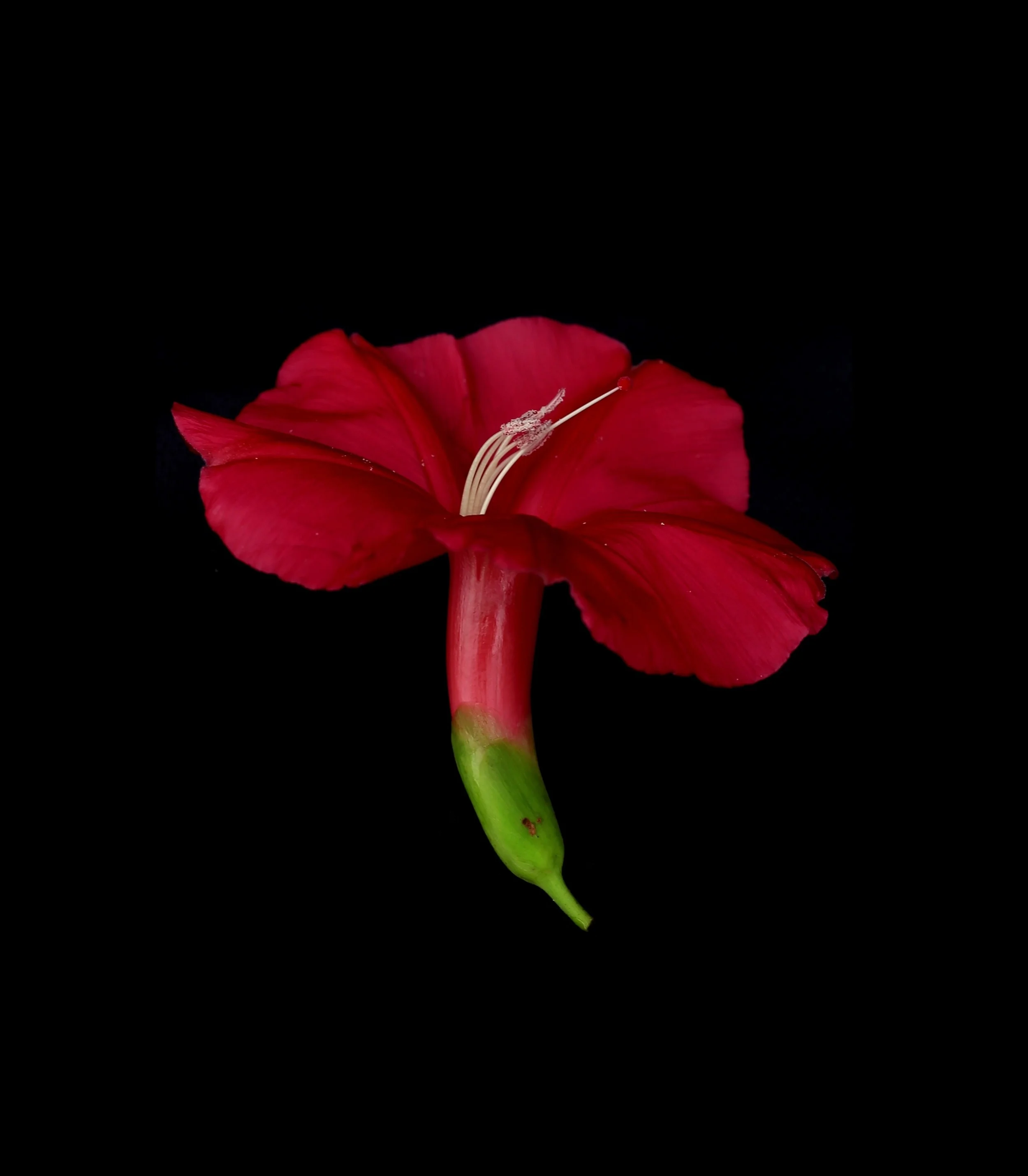 IMG_0907_modifié.jpg