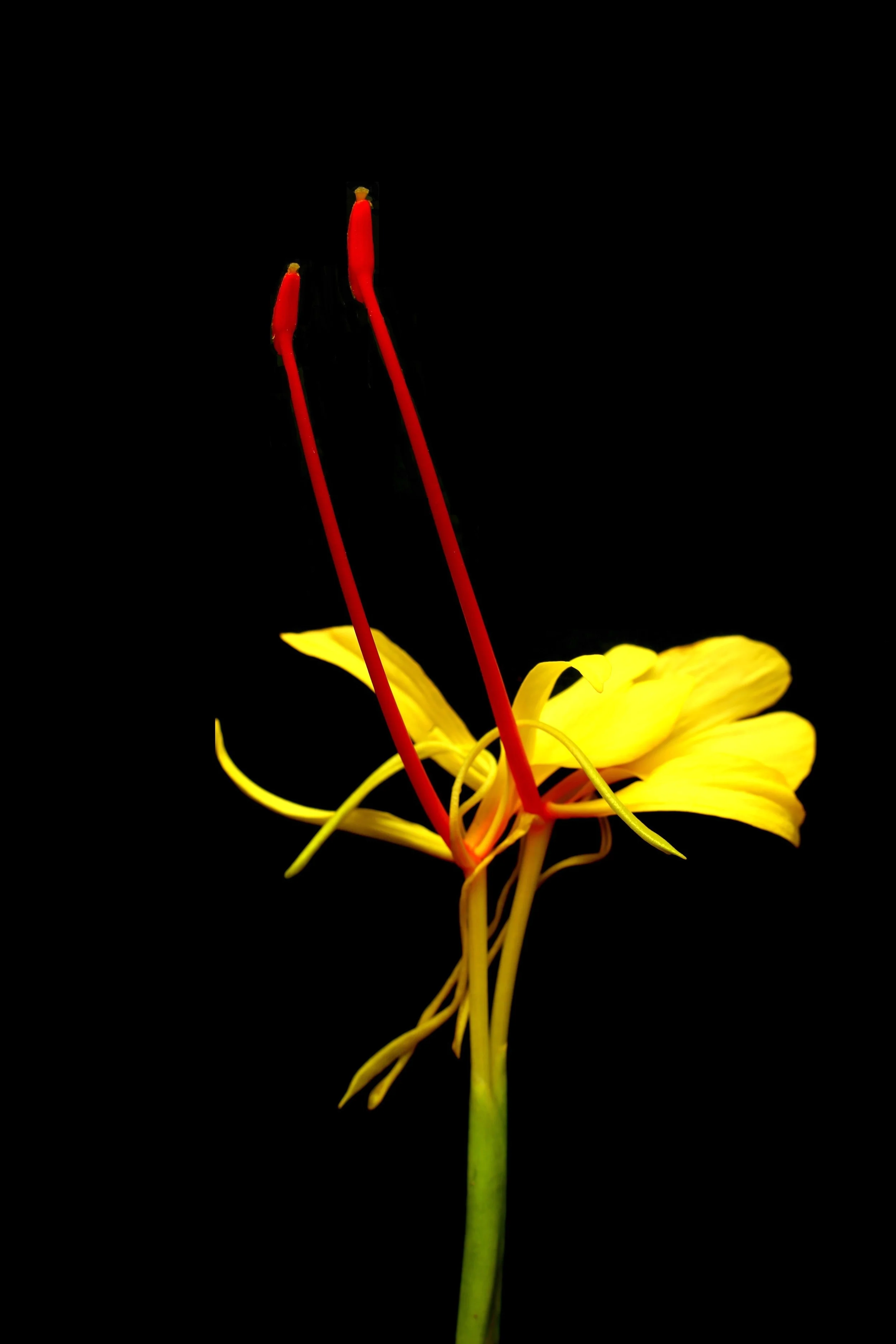 IMG_0612_modifié.jpg