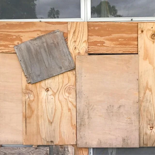 &lsquo;Callan Park&rsquo; 2020 #callanpark #park #sydney #innerwest #innerwestsydney #sydneyartist #abstract #abstractphotography #sydneyaustralia #sydneylocal #sydneylife #sydney_insta