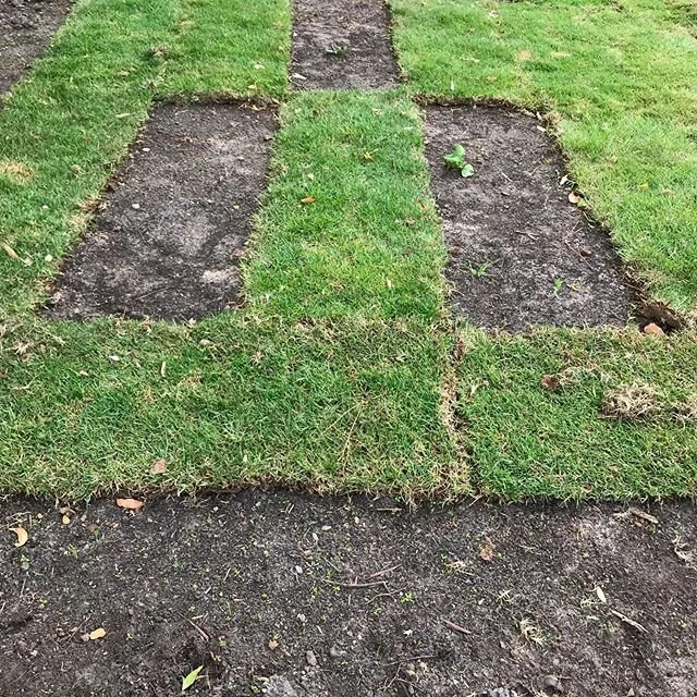 &lsquo;Random Turf Design&rsquo; 2020 
I am not quite sure what is going on here whether they didn&rsquo;t finish the job or someone decided to get creative with the newly laid turf.
#turf #grass #design #accidentalart #art_accidentally  #greengrass 