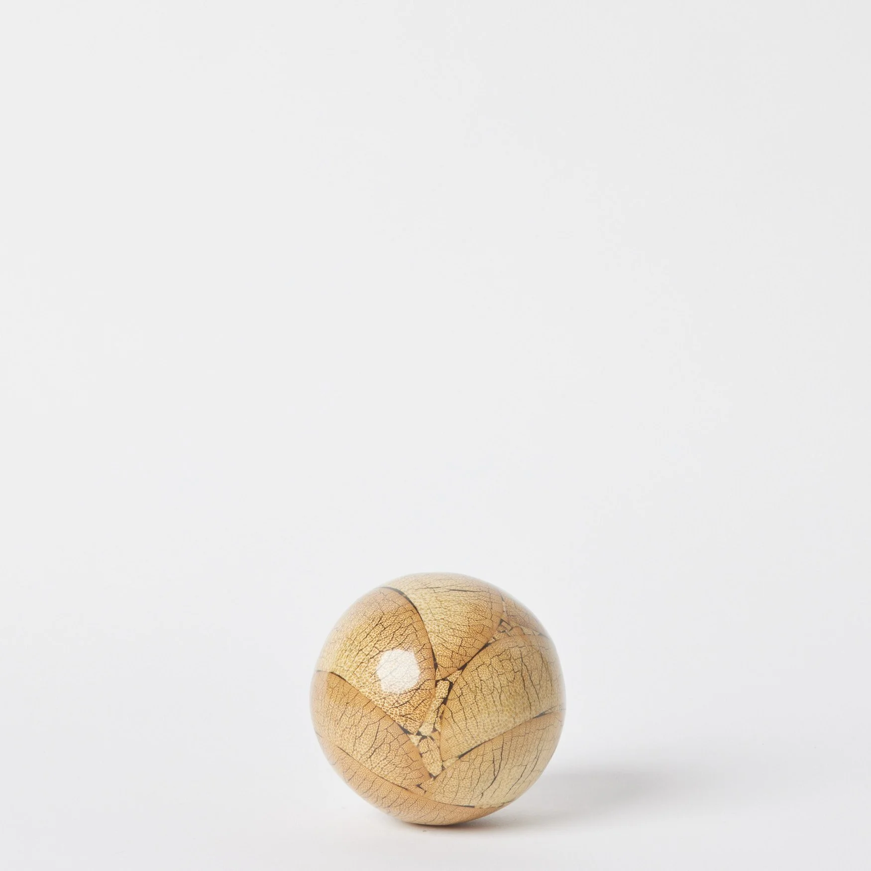 EST_Objects_Shapes_Yellow_MGSHAPE0053_10D_01.jpg