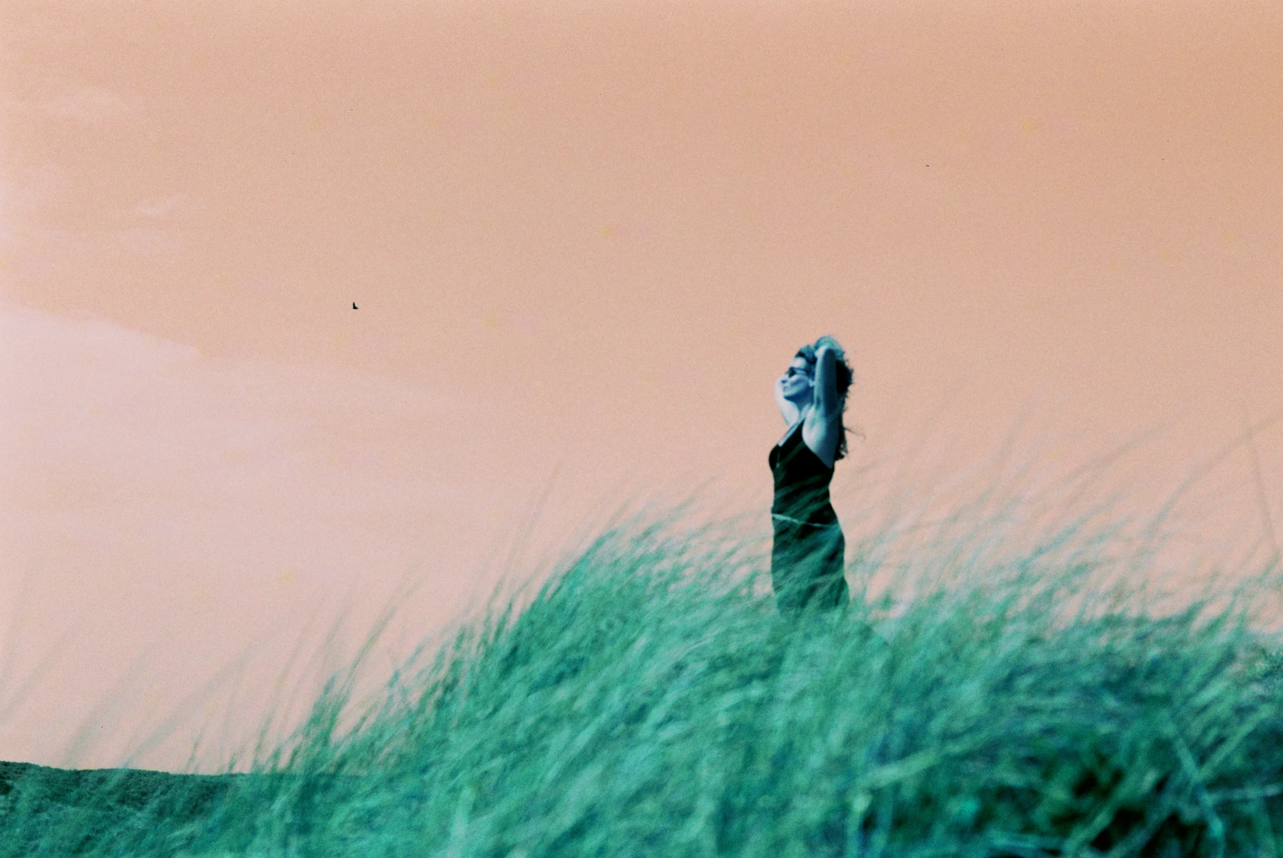Dune_sensation-1.jpg
