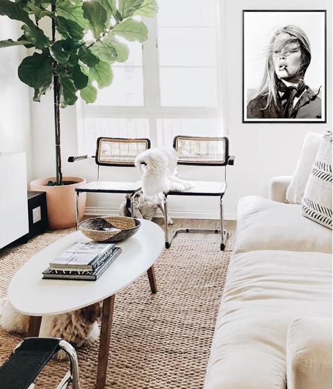 Screen Shot 2018-06-14 at 12.41.50 PM.png