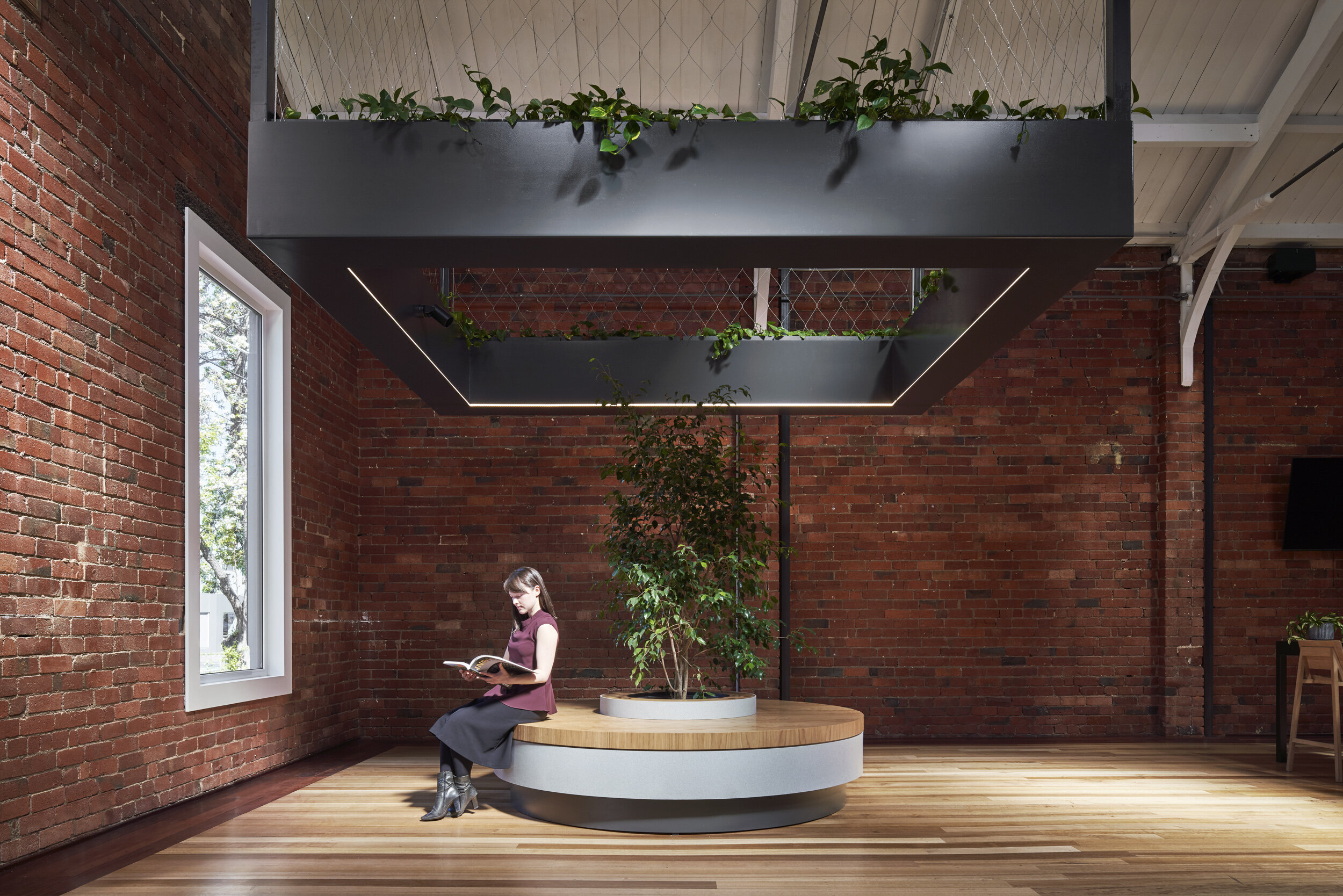 Taylor Knights - Hanging Planter.jpg