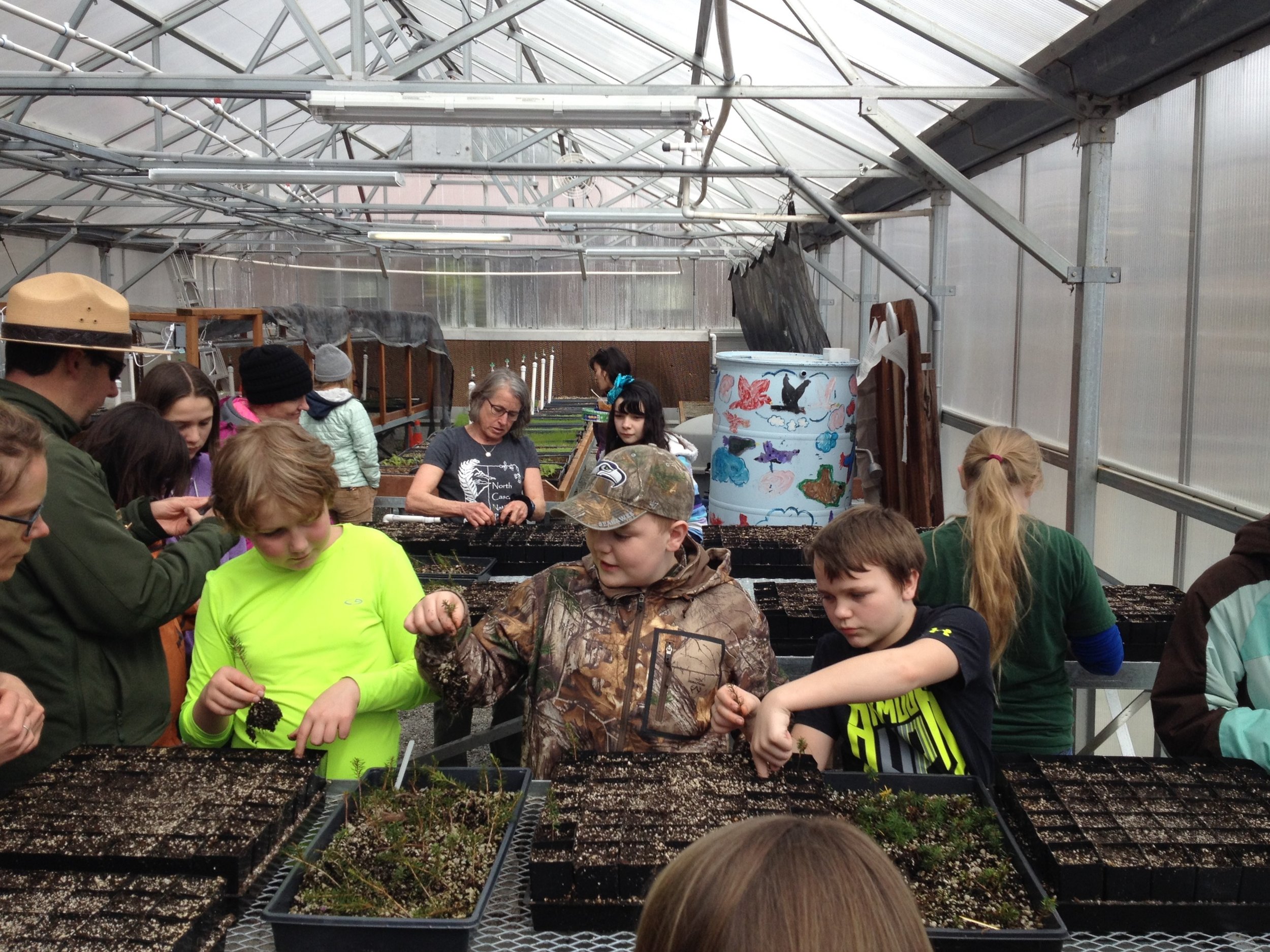   GPI youth learn to transfer seedlings and prepare them for planting in a restoration project with the North Cascades National Park's botany department.   