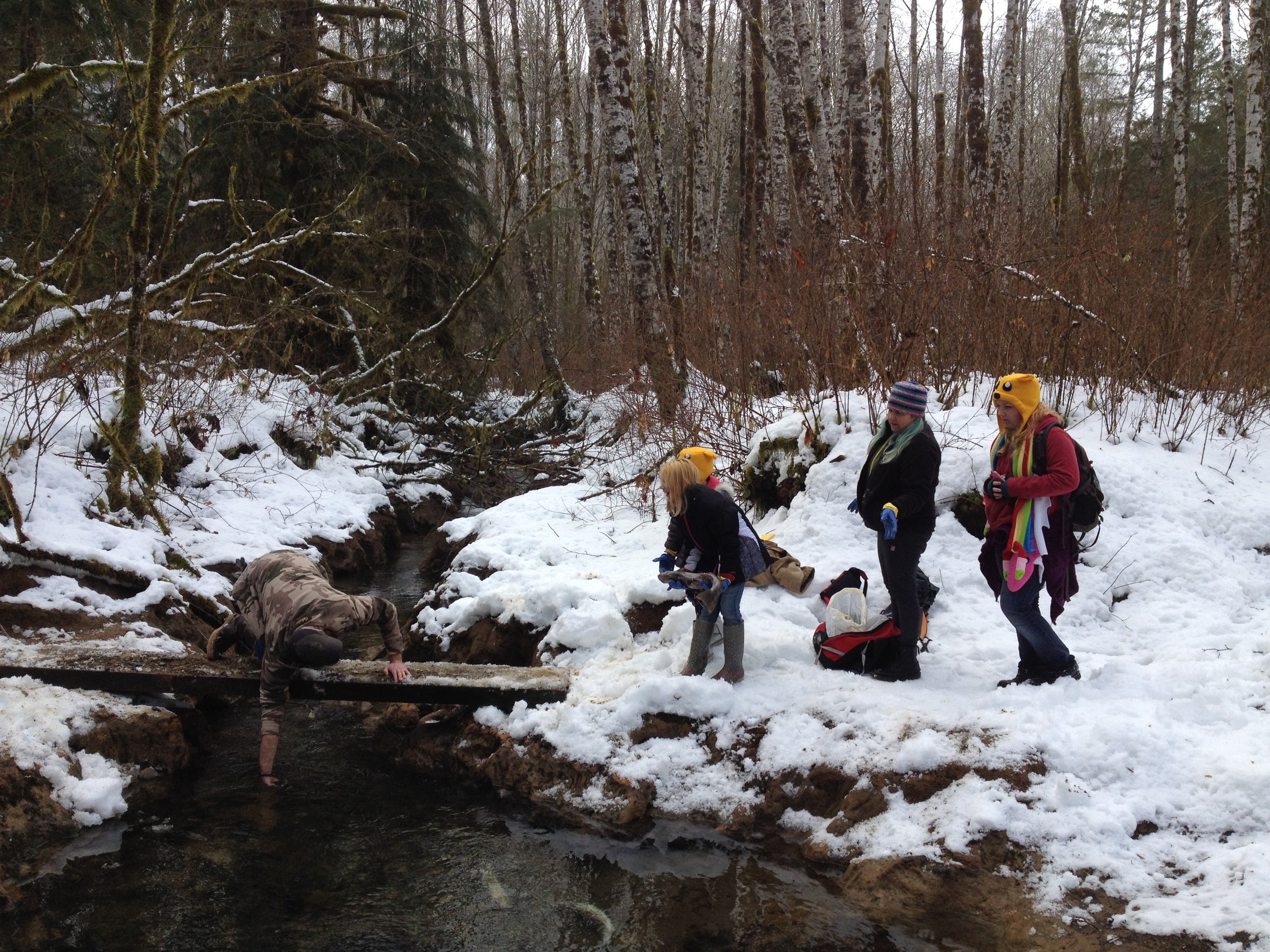 Exploring Ashton Creek.