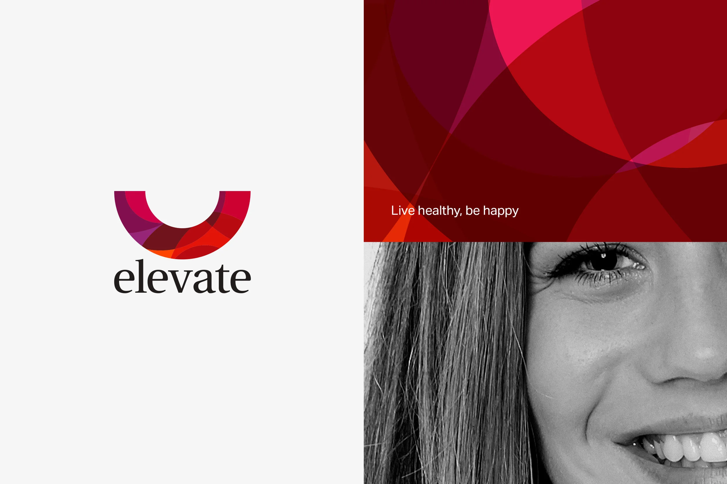 elevate_logo-types.jpg