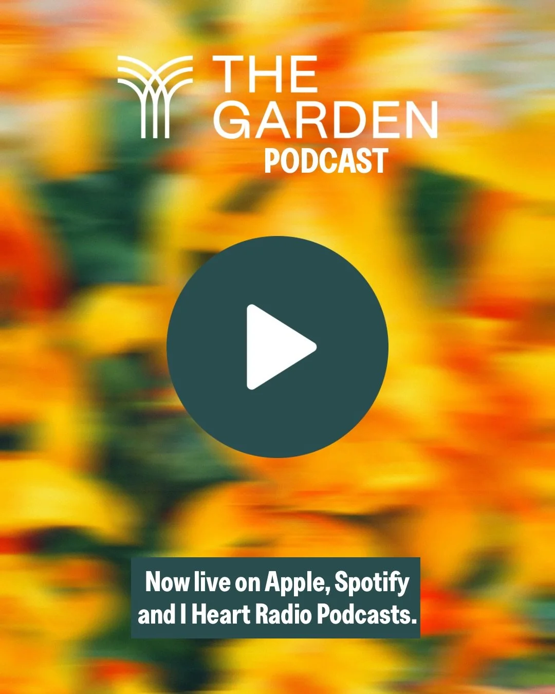 Missed a Sunday or want to share something with a friend? We have you covered! You can find Sunday&rsquo;s message on all major podcast platforms. We&rsquo;d love you to subscribe and leave a review too!