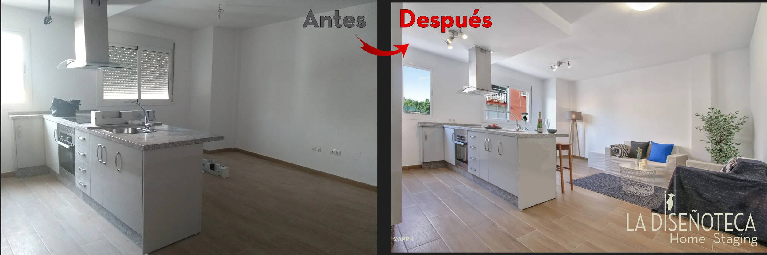 AntesyDespues Duque_1.jpg