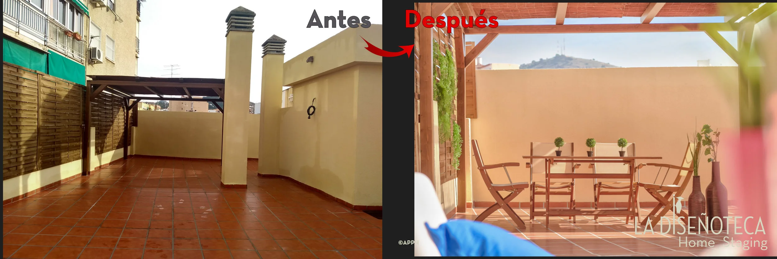 AntesyDespues Duque_7.jpg
