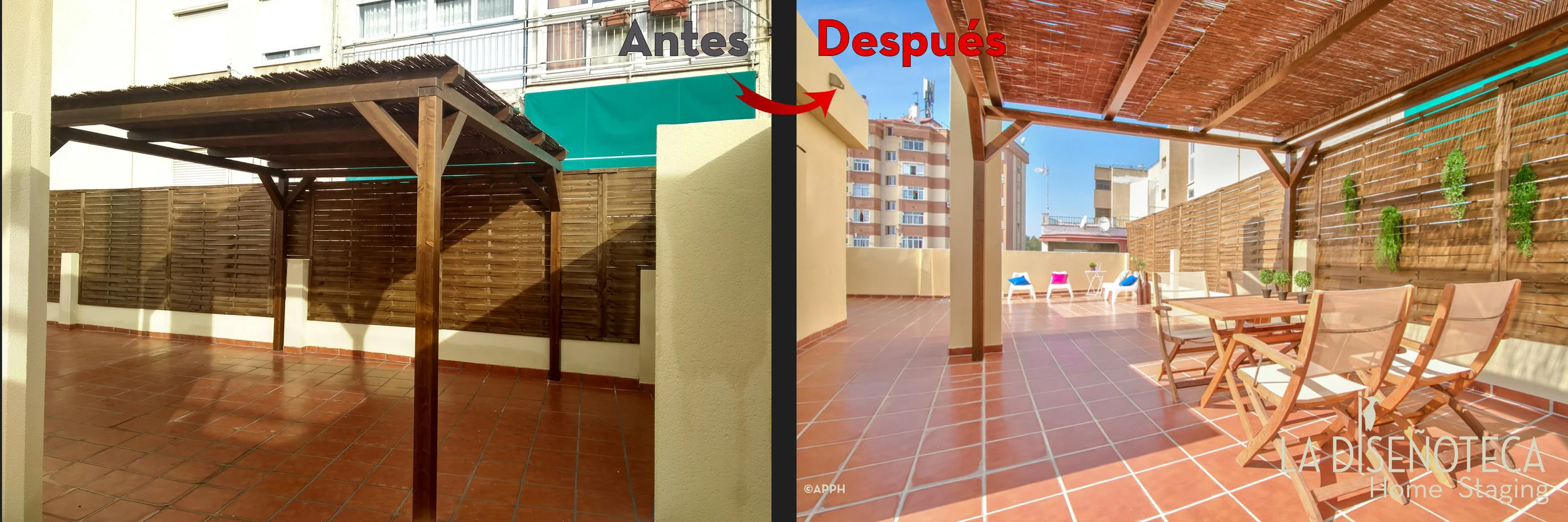 AntesyDespues Duque_6.jpg