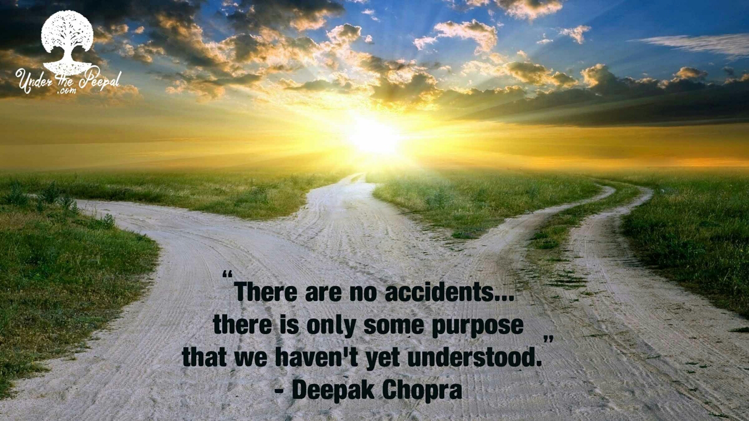 Deepak Chopra Quote- There are no accidents....there is only some purpose we haven't yet understood