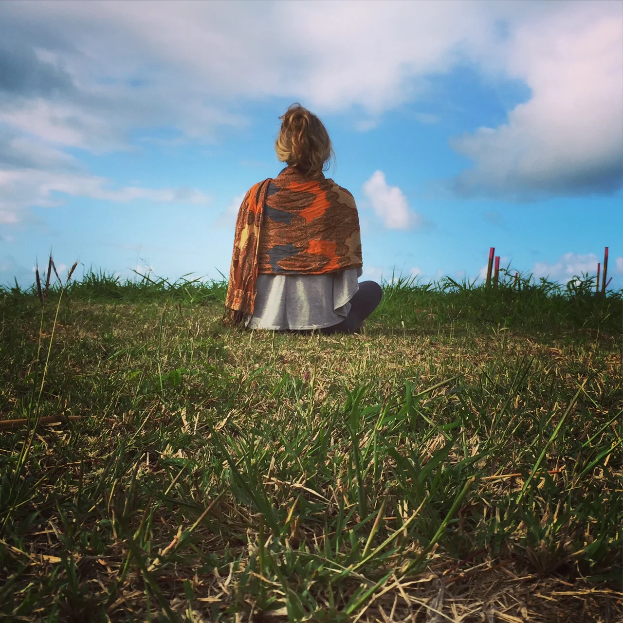 Meditation School