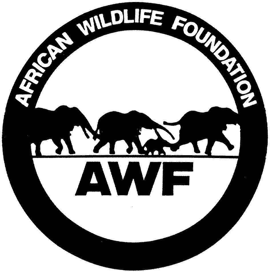 African Wildlife.jpg