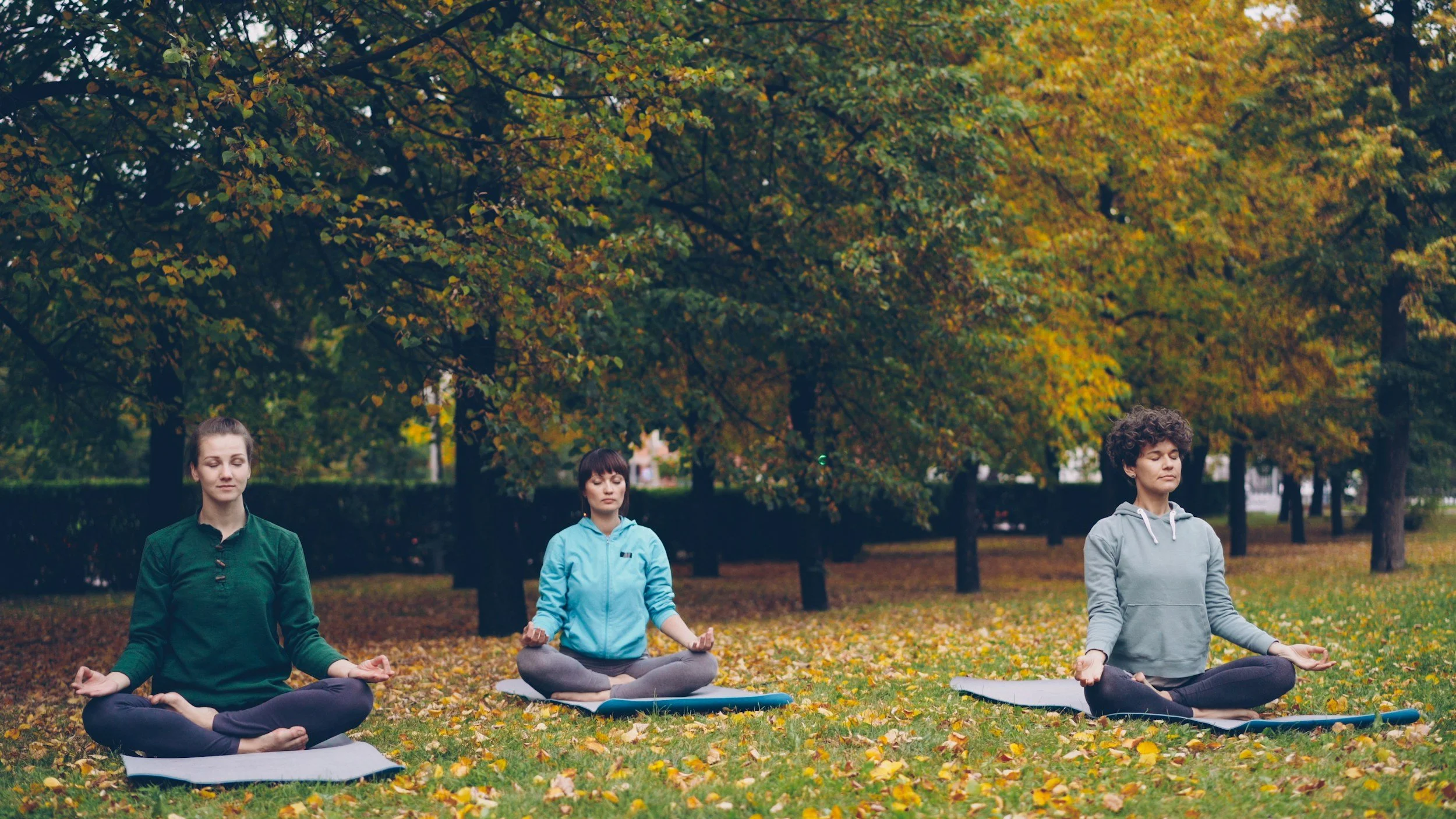 Fall is here - New Classes are too! 
