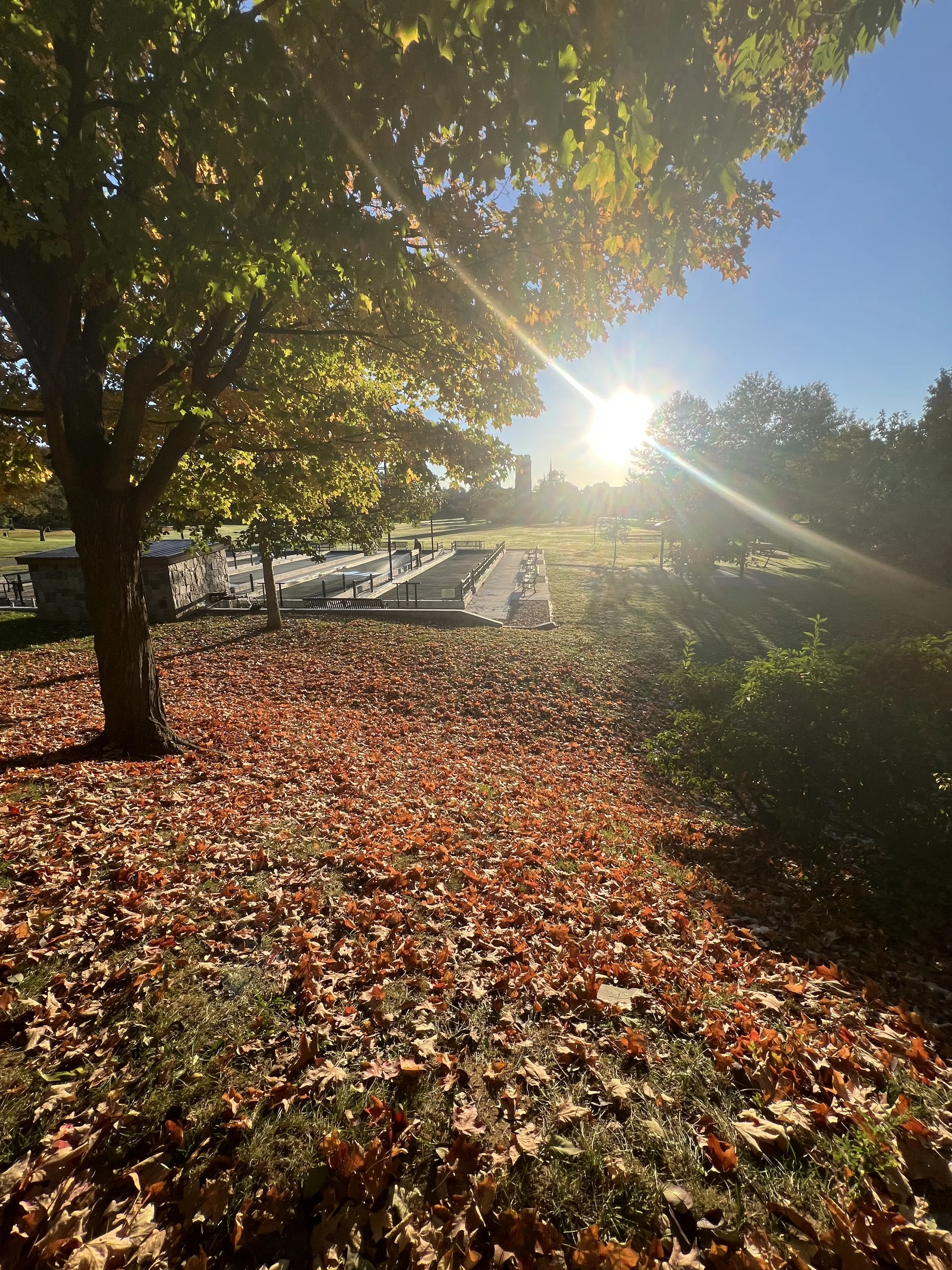 Fall is for Change - Subtle Shifts