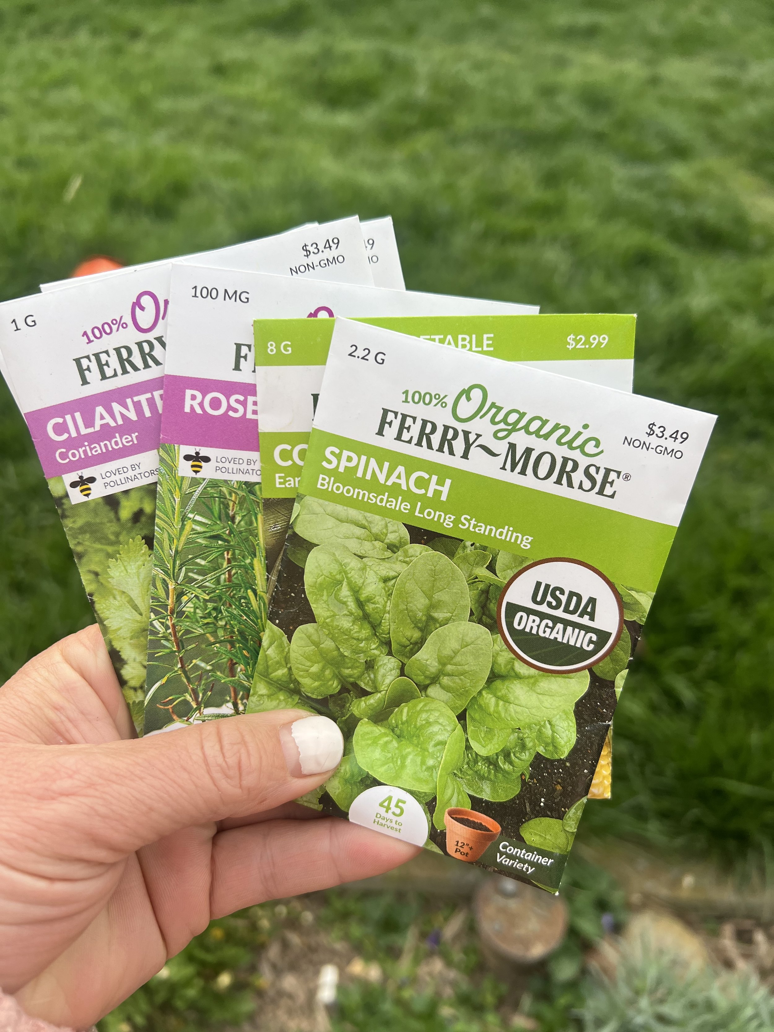 Spring Gardening, Cleaning & Community Connections