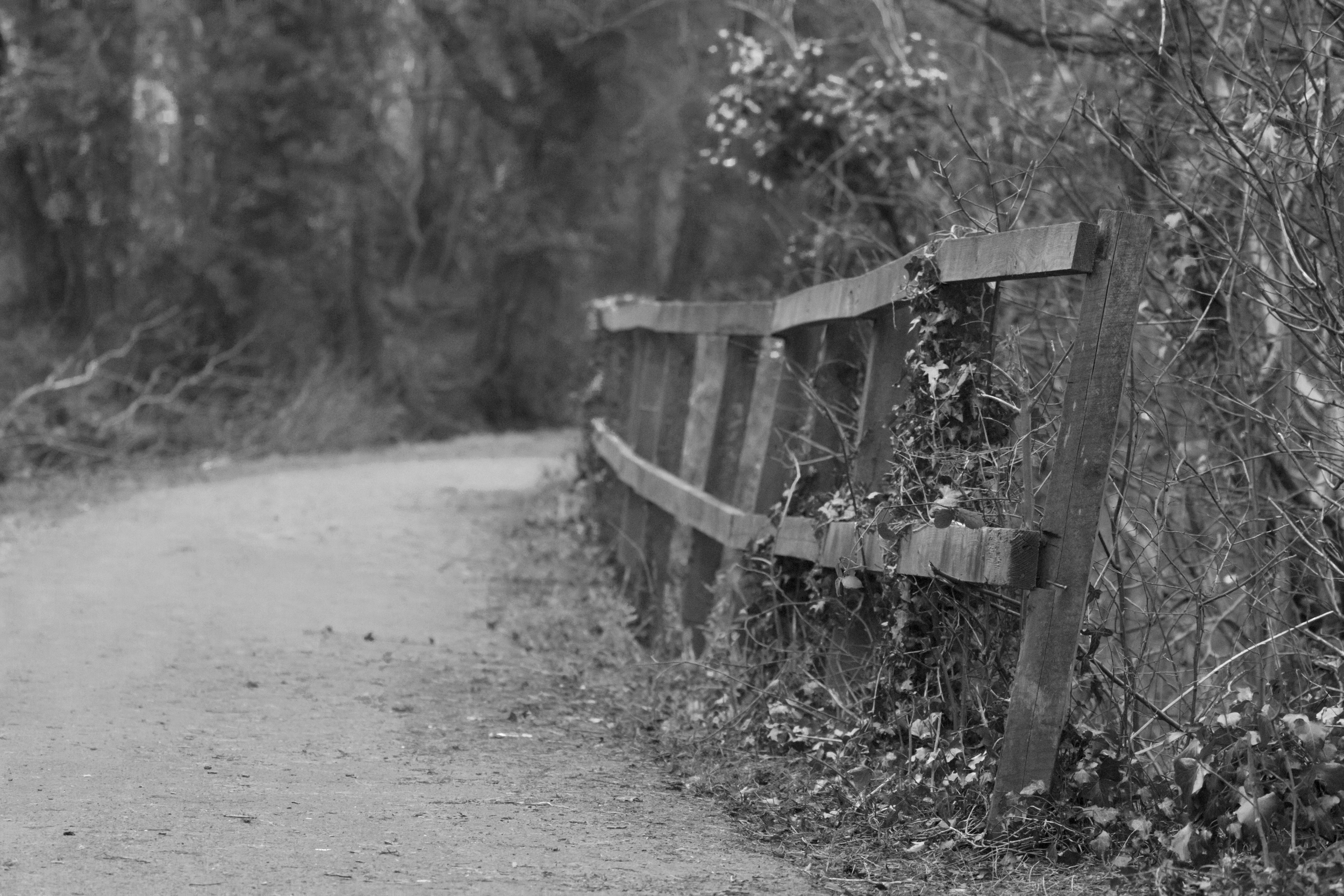 Low Light Test Canal Canon 7D mk ii.jpg