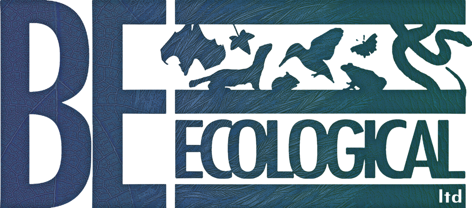 BeEcological Logo.png