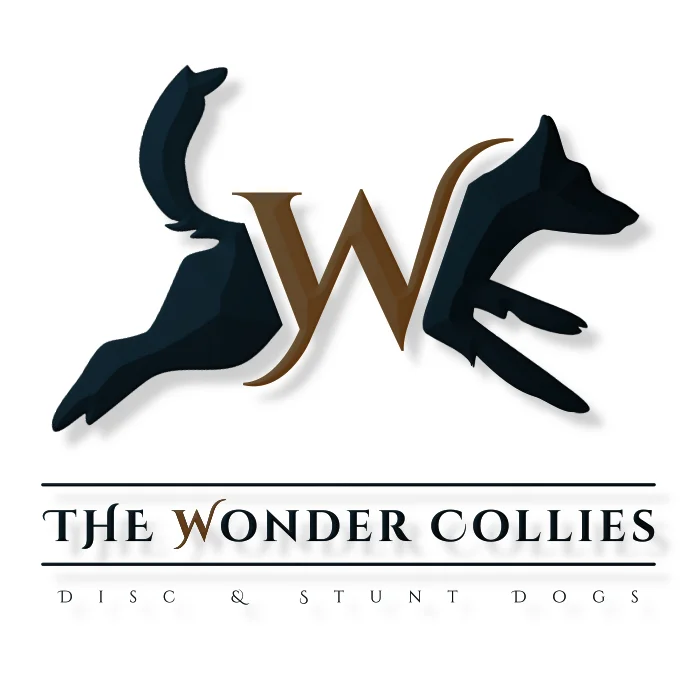 The Wonder Collies 3D Web.jpg