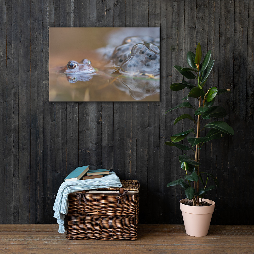Spring-Frog-W-19th-February_mockup_Lifestyle_Lifestyle_24x36.jpg