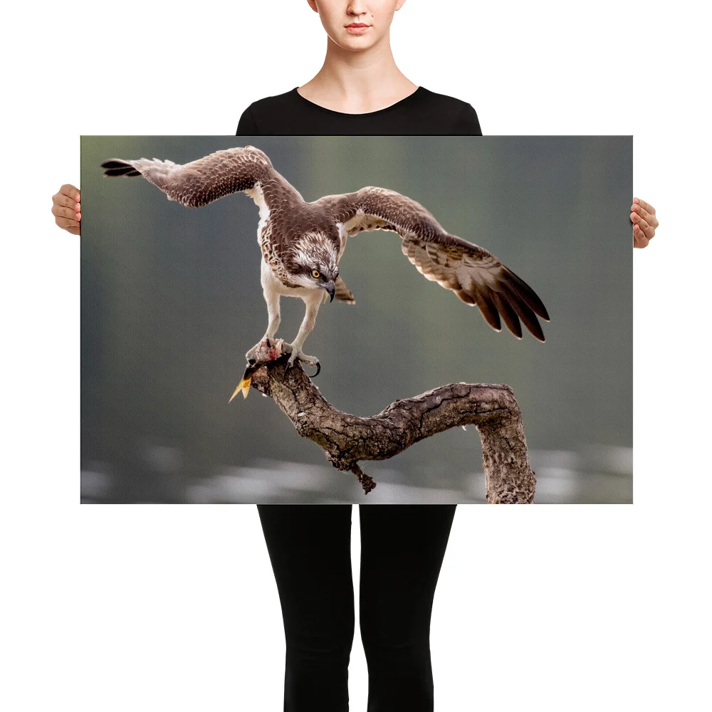 Osprey-Flap-29th-W-July_mockup_Person_Person_24x36.jpg