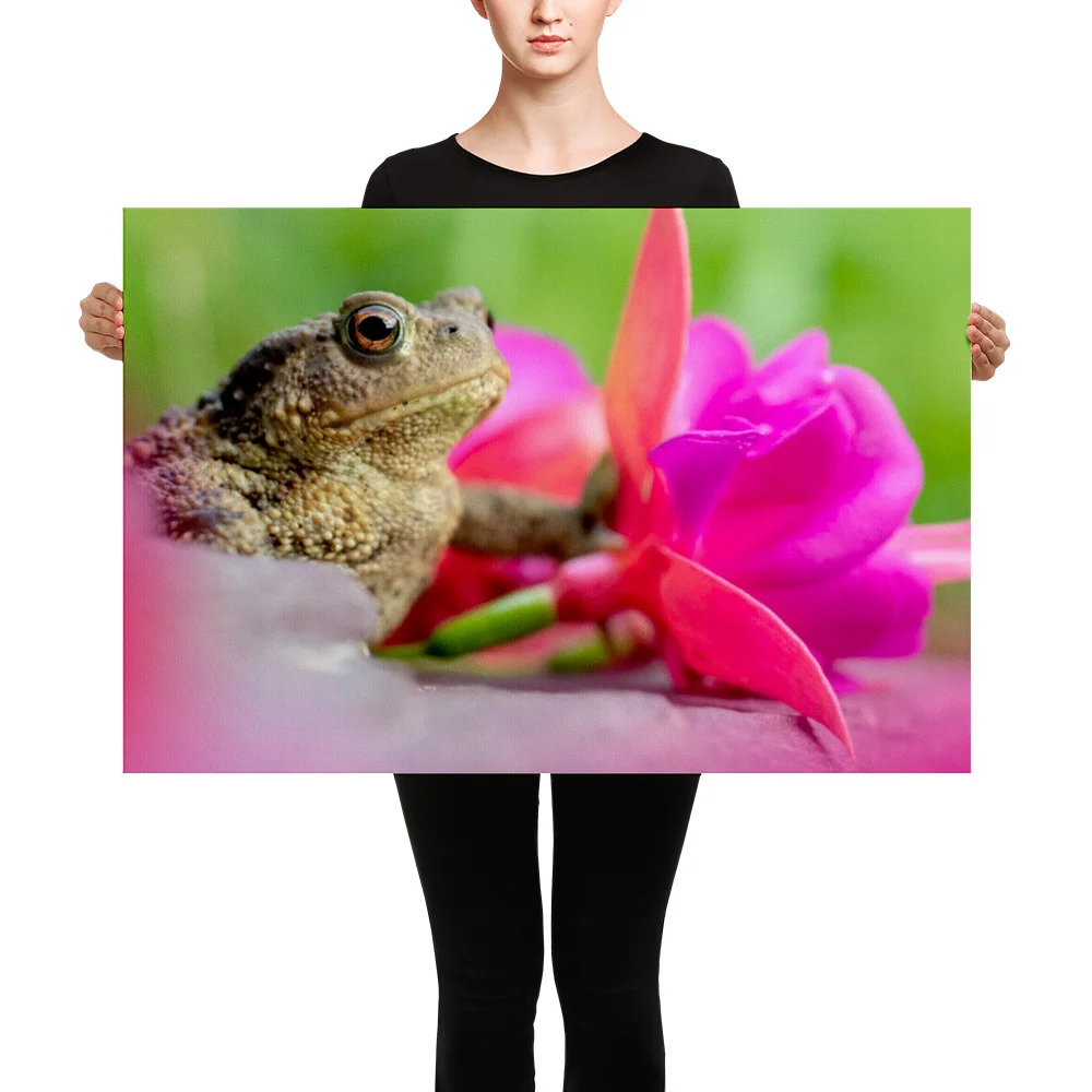 Osprey-Hanging-on-tight-W-17th-September_Fuschia-Toad-13th-August_mockup_Person_Person_24x36.jpg
