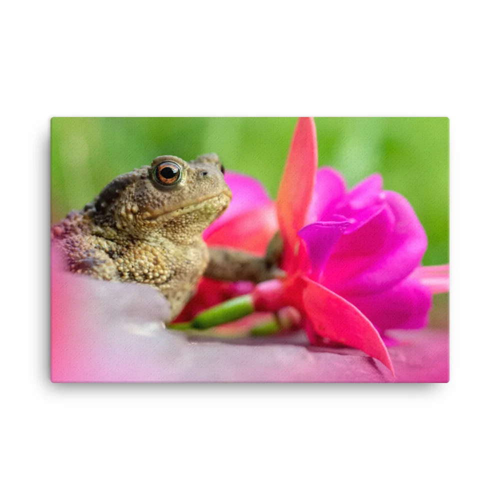 Osprey-Hanging-on-tight-W-17th-September_Fuschia-Toad-13th-August_mockup_Wall_Wall_24x36.jpg