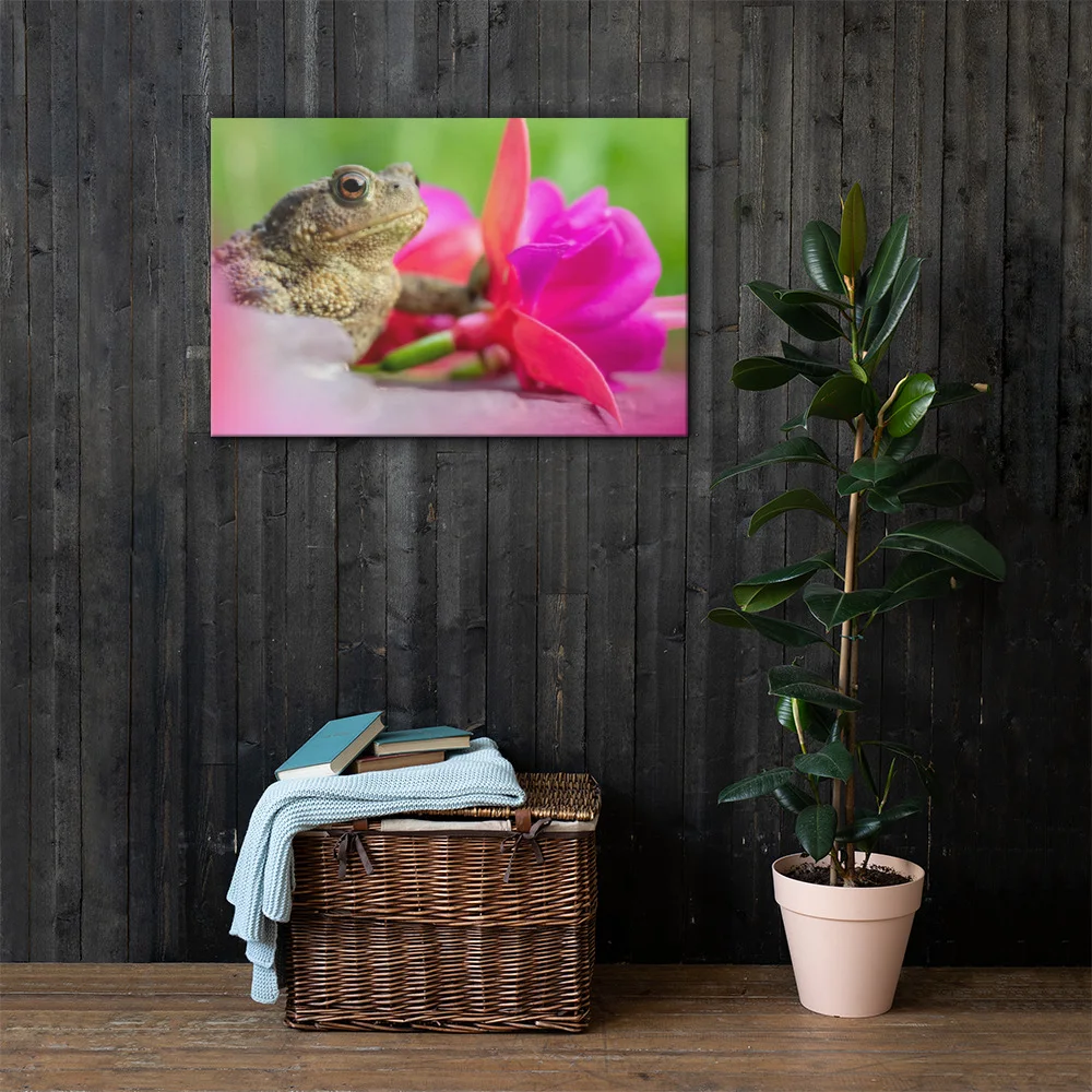 Osprey-Hanging-on-tight-W-17th-September_Fuschia-Toad-13th-August_mockup_Lifestyle_Lifestyle_24x36.jpg