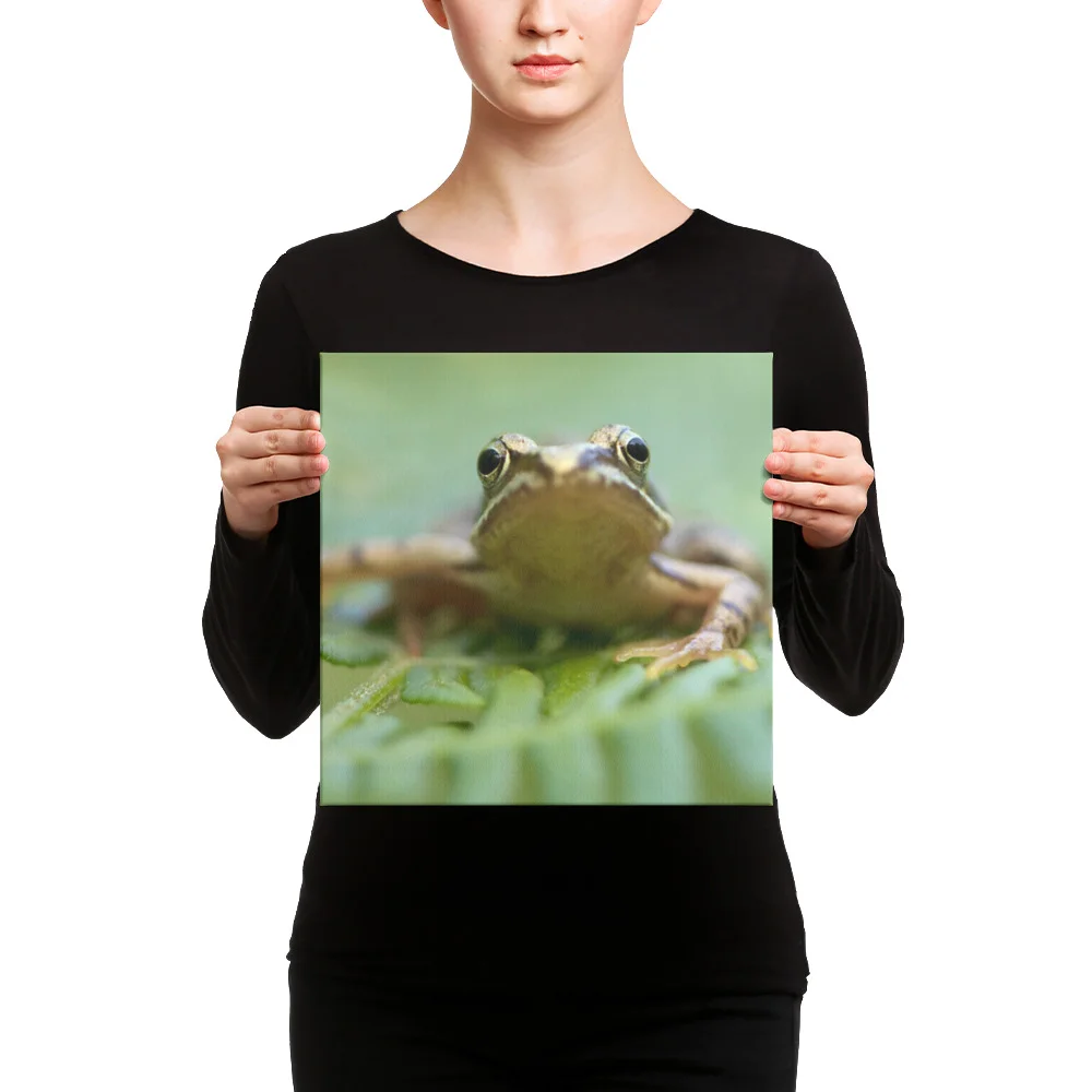 Osprey-Hanging-on-tight-W-17th-September_Forglet-Face-23rd-May_mockup_Person_Person_12x12.jpg