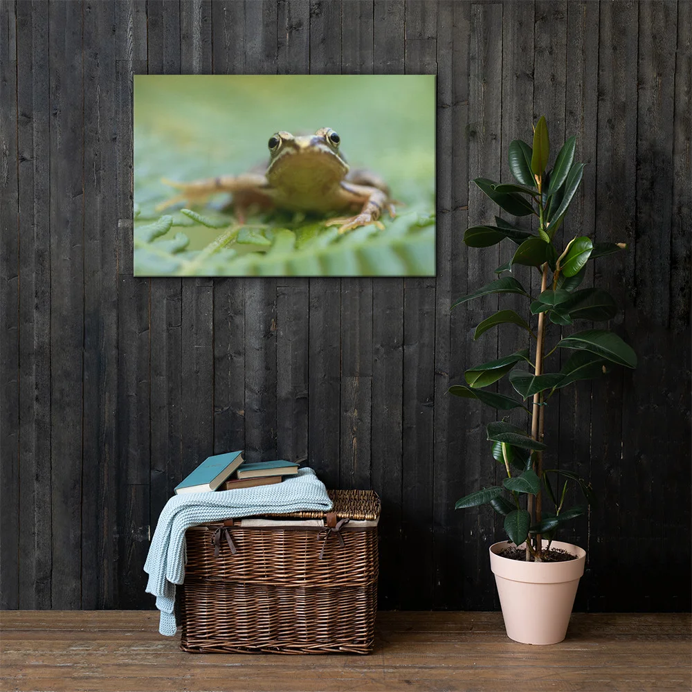 Osprey-Hanging-on-tight-W-17th-September_Forglet-Face-23rd-May_mockup_Lifestyle_Lifestyle_24x36.jpg