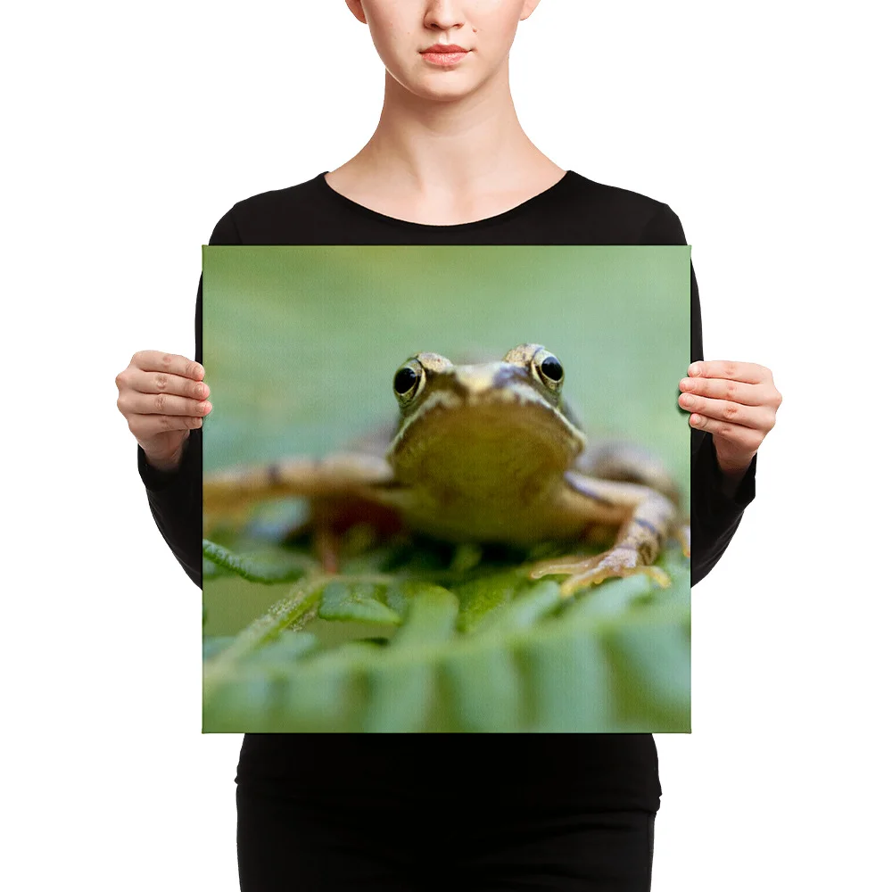Osprey-Hanging-on-tight-W-17th-September_Forglet-Face-23rd-May_mockup_Person_Person_16x16.jpg