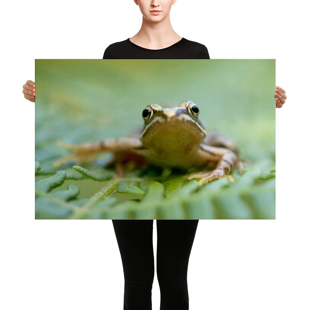 Osprey-Hanging-on-tight-W-17th-September_Forglet-Face-23rd-May_mockup_Person_Person_24x36.jpg