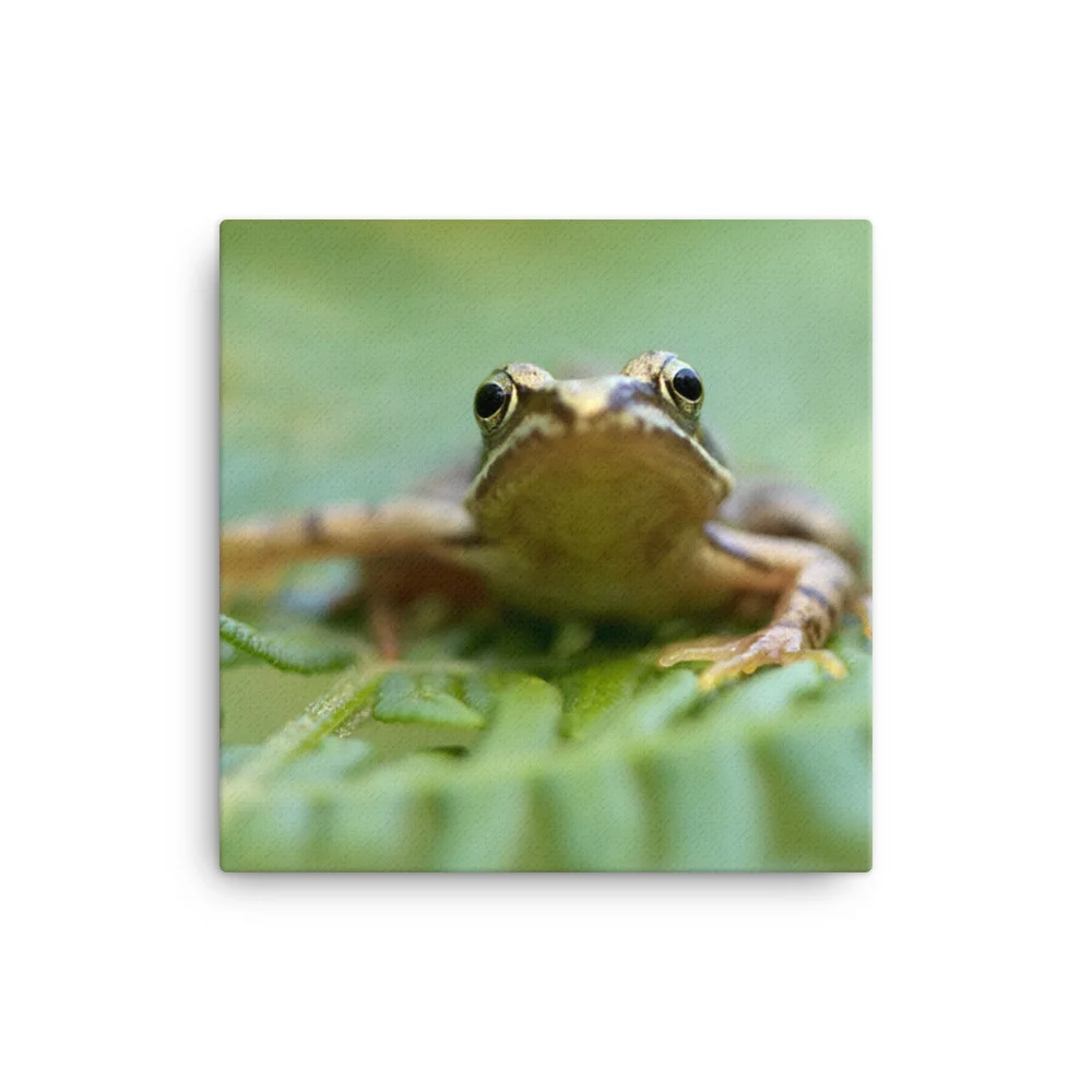Osprey-Hanging-on-tight-W-17th-September_Forglet-Face-23rd-May_mockup_Wall_Wall_16x16.jpg