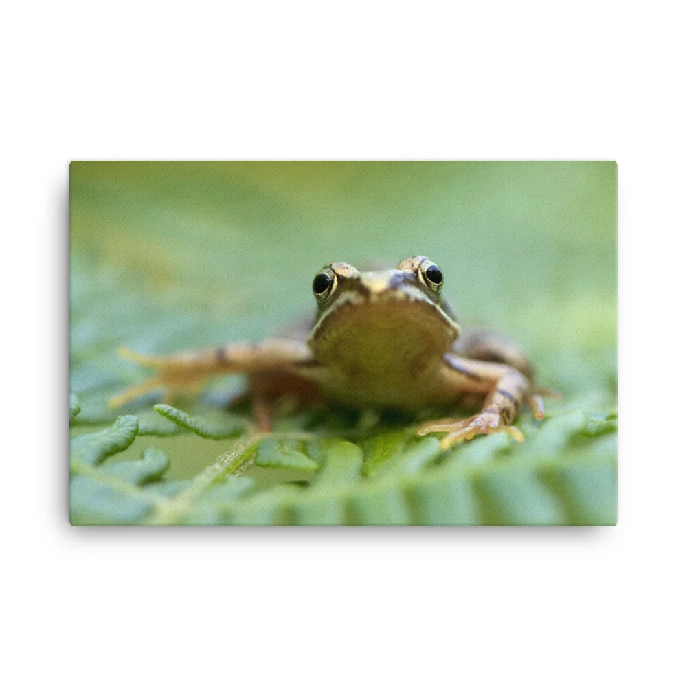 Osprey-Hanging-on-tight-W-17th-September_Forglet-Face-23rd-May_mockup_Wall_Wall_24x36.jpg