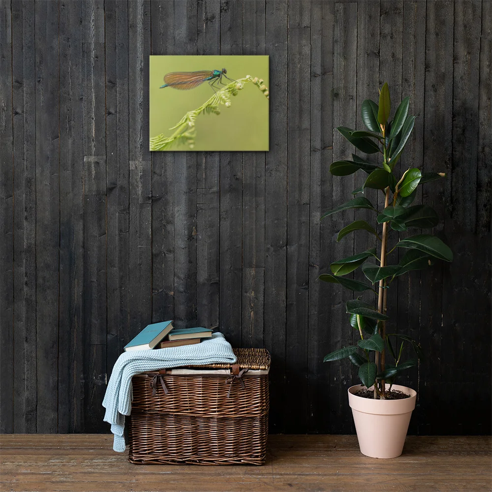 Osprey-Hanging-on-tight-W-17th-September_Forglet-Face-23rd-May_Beautiful-Da_mockup_Lifestyle_Lifestyle_16x20.jpg