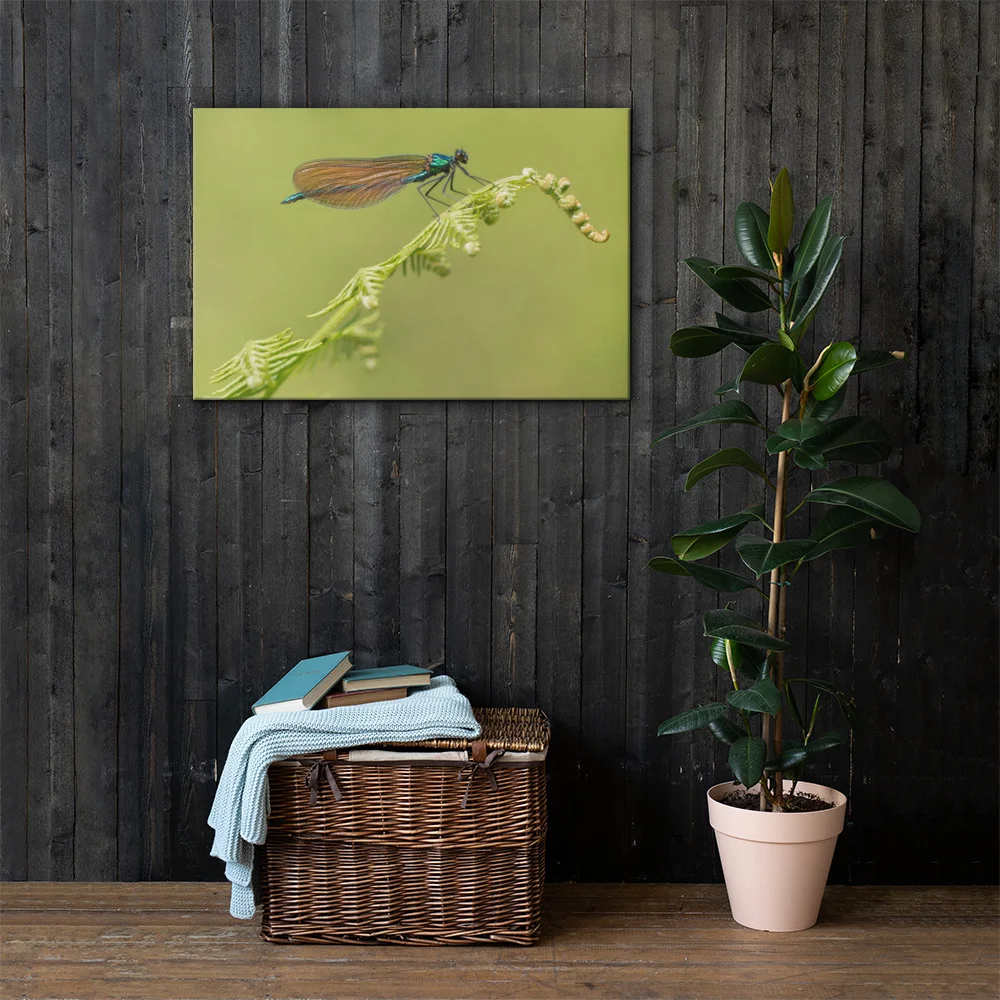 Osprey-Hanging-on-tight-W-17th-September_Forglet-Face-23rd-May_Beautiful-Da_mockup_Lifestyle_Lifestyle_24x36.jpg