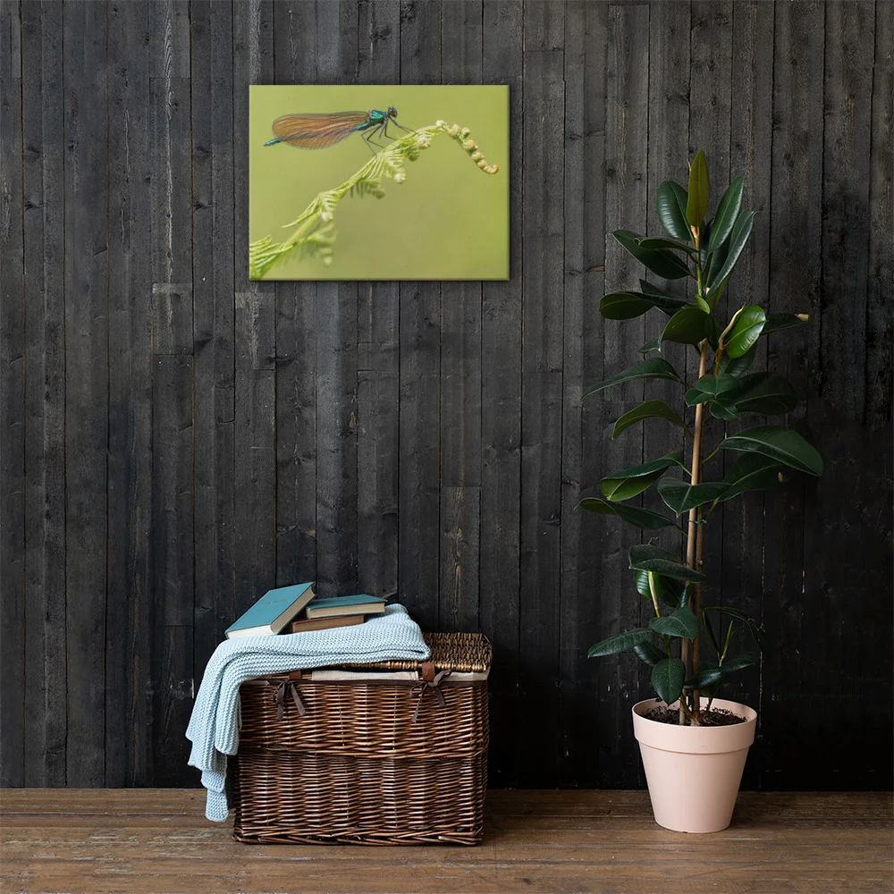 Osprey-Hanging-on-tight-W-17th-September_Forglet-Face-23rd-May_Beautiful-Da_mockup_Lifestyle_Lifestyle_18x24.jpg