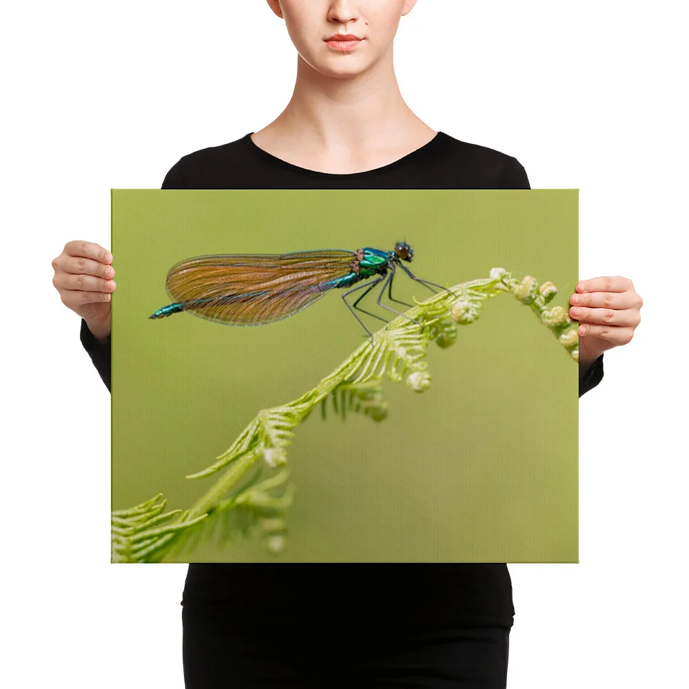 Osprey-Hanging-on-tight-W-17th-September_Forglet-Face-23rd-May_Beautiful-Da_mockup_Person_Person_16x20.jpg