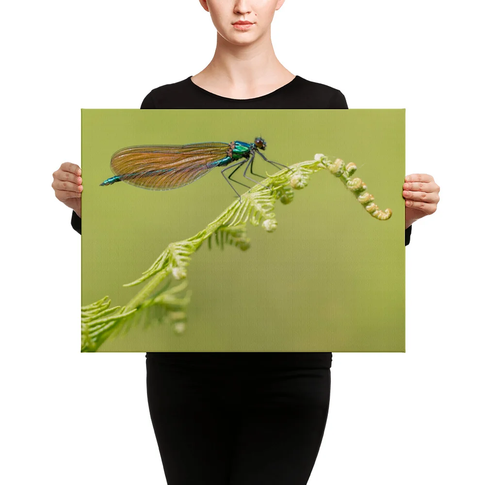 Osprey-Hanging-on-tight-W-17th-September_Forglet-Face-23rd-May_Beautiful-Da_mockup_Person_Person_18x24.jpg